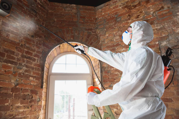 Best Residential Mold Inspection & Testing  in Benbrook, TX